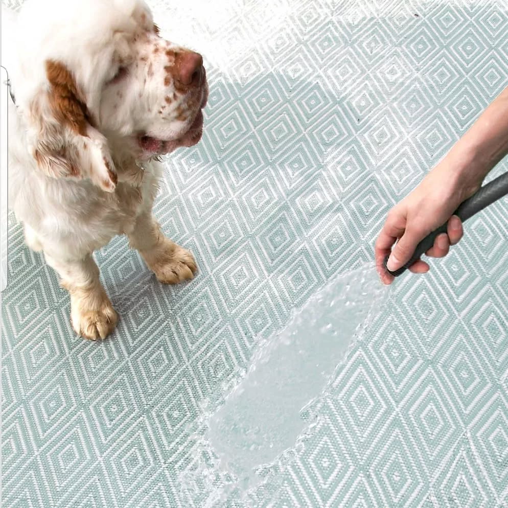 Diamond Light Blue/Ivory Indoor/Outdoor 150x240